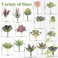 thumbnail image 6 of Yalumo Fake Succulents Assortment, 19 Pcs Unpotted Mini Artificial Succulent Plants with Flocked Texture, Realistic Faux Succulents for DIY Crafting, Home, Garden, Office & Party Decor, 6 of 7