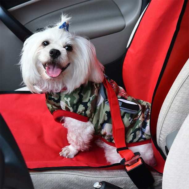 Dog car harness walmart top