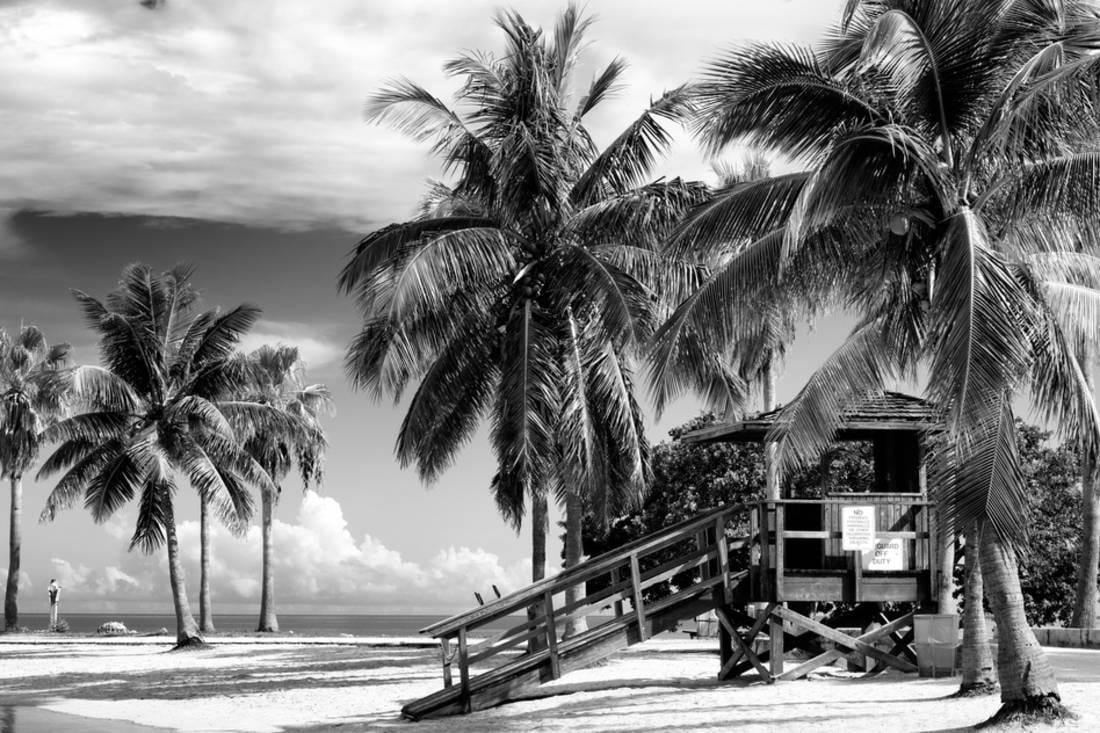 Furniture modern stores orange county contemporary showrooms modshop tips buying shops storefront 2102 dsc pickeronline everything tidyhouse info ripped avoid Lifeguard Station - Miami Beach - Florida Palm Tree Coastal Landscape