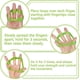 thumbnail image 4 of Finger trainer, grip strengthener finger stretcher grip strengthener finger trainer finger strength training suitable for finger muscle training, 4 of 5