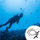 thumbnail image 4 of Riwesomey Botella de escenario de buceo Montaje lateral Correa de transporte de buceo Kit de montaje Accesorios de clip de botella de buceo Conjunto de Bombillas para automóviles No.1, 4 of 6