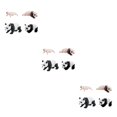 thumbnail image 1 of Bewildely Ciclo de vida Figuras de animales Juguete 4 etapas de Panda Ciencia Juguetes educativos estilo B Type1 NO1, 1 of 6