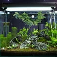 thumbnail image 1 of Raindrops 1Ud Planta Decorativa De Rattan Para Acuario Y Salada, 1 of 8