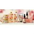 thumbnail image 4 of Pre de Provence Rose de Mai Beauty Oil 0.5oz, 4 of 4