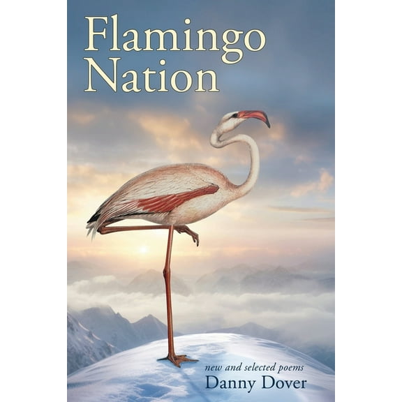 Flamingo Nation, (Paperback)