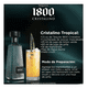 thumbnail image 5 of Caja de 12 Tequila 1800 Cristalino 700 ml, 5 of 5