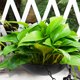 thumbnail image 4 of unbranded Macetero Colgante Para Plantas Con Material Plástico Y Para De, 4 of 8