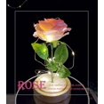 thumbnail image 2 of Flor encantada de rosas con luz LED en cúpula de cristal para Navidad, Día de San Valentín, Día de la madre, cumpleaños, los mejores regalos para novia, 2 of 4