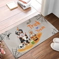 thumbnail image 2 of Trick or Treat Bernese Mountain Dog Funny Mummy Cosplay Pumpkin Candy Basket Doormat Berner Lover Gifts Indoor Outdoor Welcome Mat - 12016, 2 of 5
