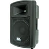 Seismic Audio PWS-12 Speaker System, 500 W RMS