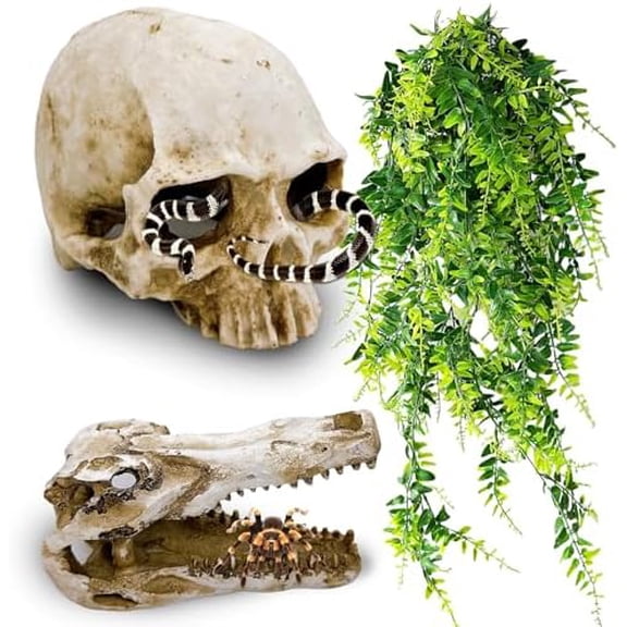 Human Skull and Crocodile Skull Decor, Snake Hide, Tarantula Enclosure Accessories, Resin Skull with Vines Reptile Terrarium Tank Decor for Geckos, Lizards, Spiders
