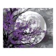 thumbnail image 1 of Generic Flower Pattern DIY Oil Painting on Canvas Paint by Number Kit Craft Hand-Painted Home Wall Decor Gift 16 x 20 Inch Frameless for Adults Kids Beginner, 1 of 6