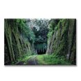thumbnail image 1 of Cuadro Canva Listo Para Colgar Tipo Galería Carril En El Bosque 2 50X75 cm, 1 of 4