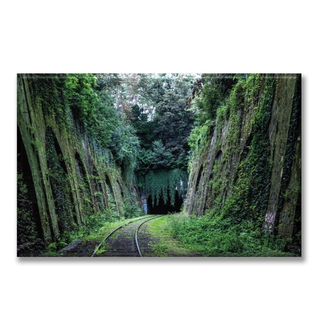 Cuadro Canva Listo Para Colgar Tipo Galería Carril En El Bosque 2 50X75 cm