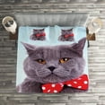thumbnail image 2 of Ambesonne Cat Quilted Coverlet 3 Pcs, Grey Scottish Fold Theme, Queen Size, Pale Blue Purpleblue, 2 of 2