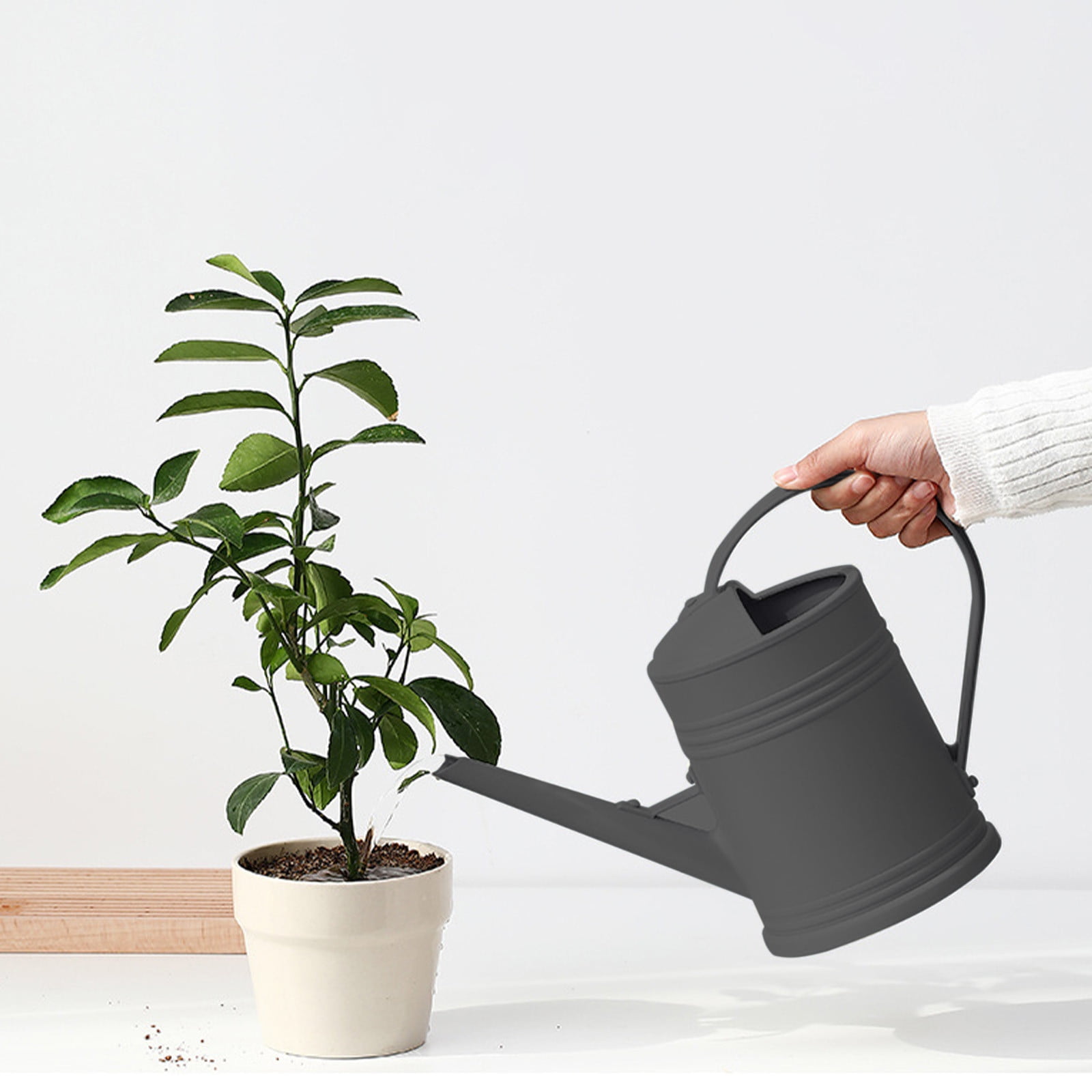 Long Spout Watering Can for Indoor Plants 2L Watering Kettle with Long Nozzle, Plastic Gardening Watering Can for Indoor Plants, Flower Wall Decor