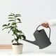 thumbnail image 5 of Hervidor de agua para suculentas de 2 l, con boquilla desmontable y pico largo para un riego preciso y suave, ideal para plantas de interior en maceta, flores y jardines de hierbas. Aestivo, 5 of 8