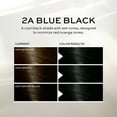 thumbnail image 5 of John Frieda Black Permanent Precision Foam Hair Color Kit, Hair Dye, 2A Blue Black, 1 Application, 5 of 11