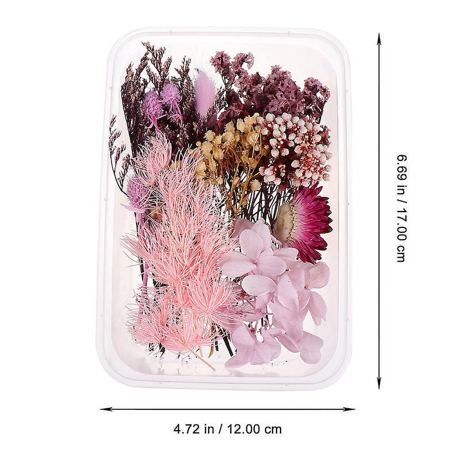 1pack Real Dried Flowers