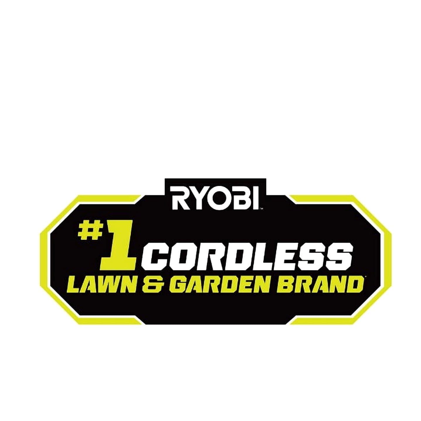 RYOBI RY40407BTLVNM 125 MPH 550 CFM 40-Volt Lithium-Ion Brushless Cordless Variable-Speed Jet Fan Leaf Blower (Tool-Only)