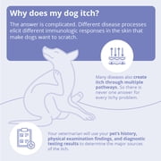 Miconahex+ Triz Spray for Dogs Cats and Horses, 16 oz