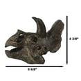 thumbnail image 5 of Faux Taxidermy Replica Triceratops Dinosaur Head Fossil Small Skull Figurine, 5 of 9