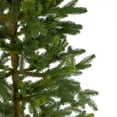 thumbnail image 3 of Northlight Real Touch™️ Potted Noble Pine Slim Artificial Christmas Tree - 4' - Unlit, 3 of 8