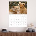 thumbnail image 3 of Africa's lions (Monthly Wall Calendar 2026 16.5 x 23.4 (open)), CALVENDO 14 Month Calendar, 3 of 9