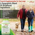 thumbnail image 4 of Healthology - Healthology Pulmon-FX, 90 Capsules, 4 of 7