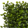 thumbnail image 3 of Nearly Natural 12" x 10" Green Boxwood Mat 12-Piece, Artificial Plant, 3 of 3