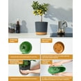 thumbnail image 2 of Cowb Manm 6.5 in Self-Watering Flower Pot 6 PACK Plastic Planter with Drainage Holes Home Deco, 2 of 7