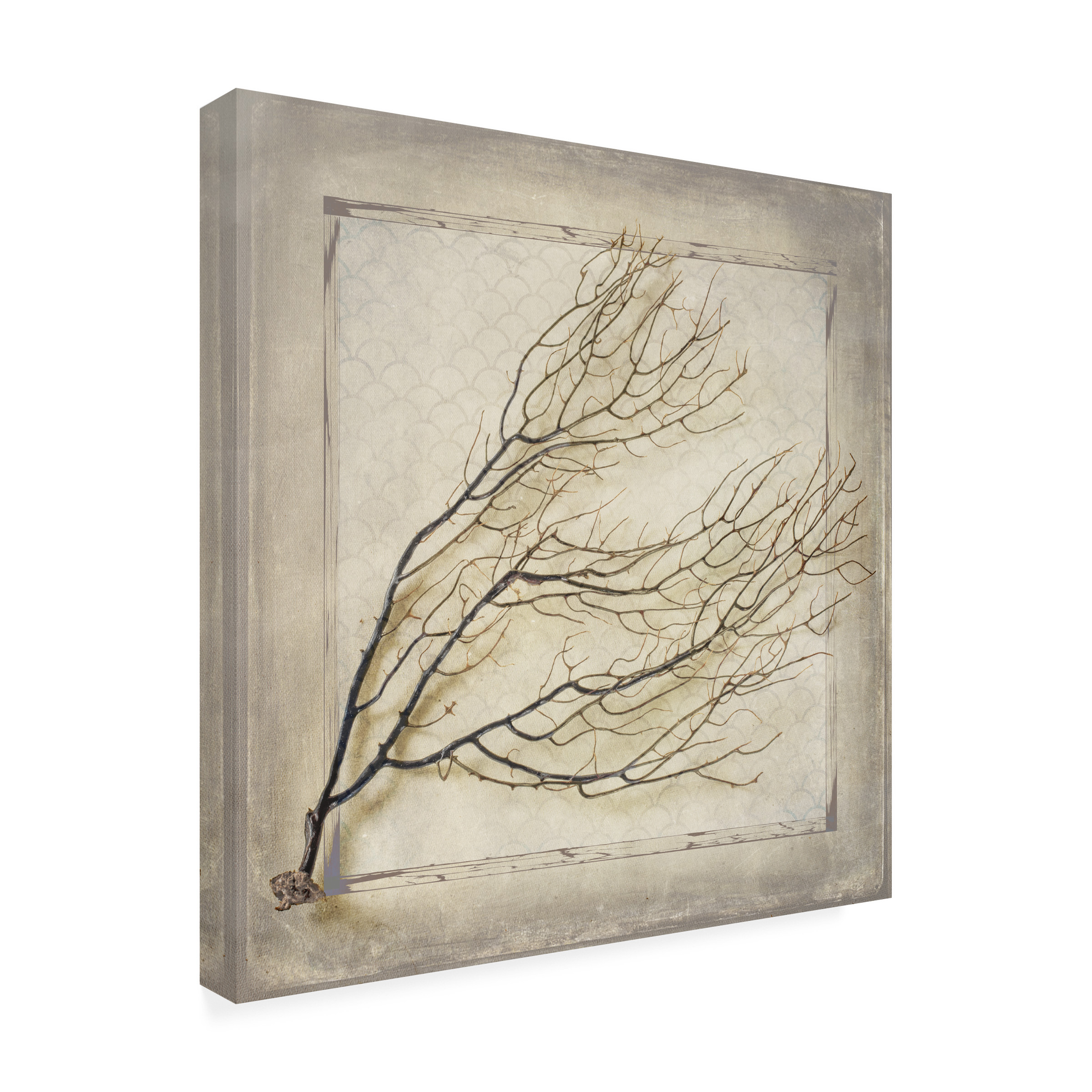 LightBoxJournal 'Starfish Sea Leaf' Canvas Art