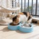 thumbnail image 5 of Forma de rana con cuenco doble de acero inoxidable – Comedero de agua para perros elevado antideslizante, cuencos desmontables 2 en 1, grado alimentario, para mascotas pequeñas y medianas azul, 5 of 6