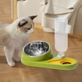 thumbnail image 1 of Tazón doble para comida y agua Perfecl Inclinado Anti derrame Durable Verde, 1 of 8