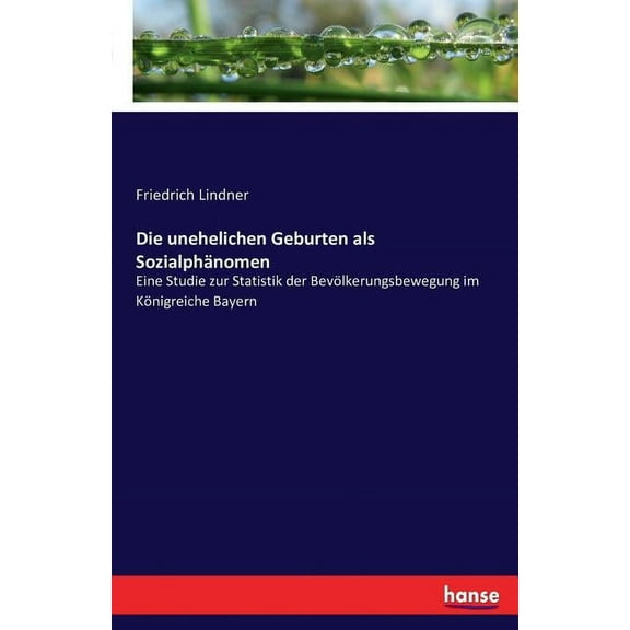 Die unehelichen Geburten als Sozialphänomen (Paperback)
