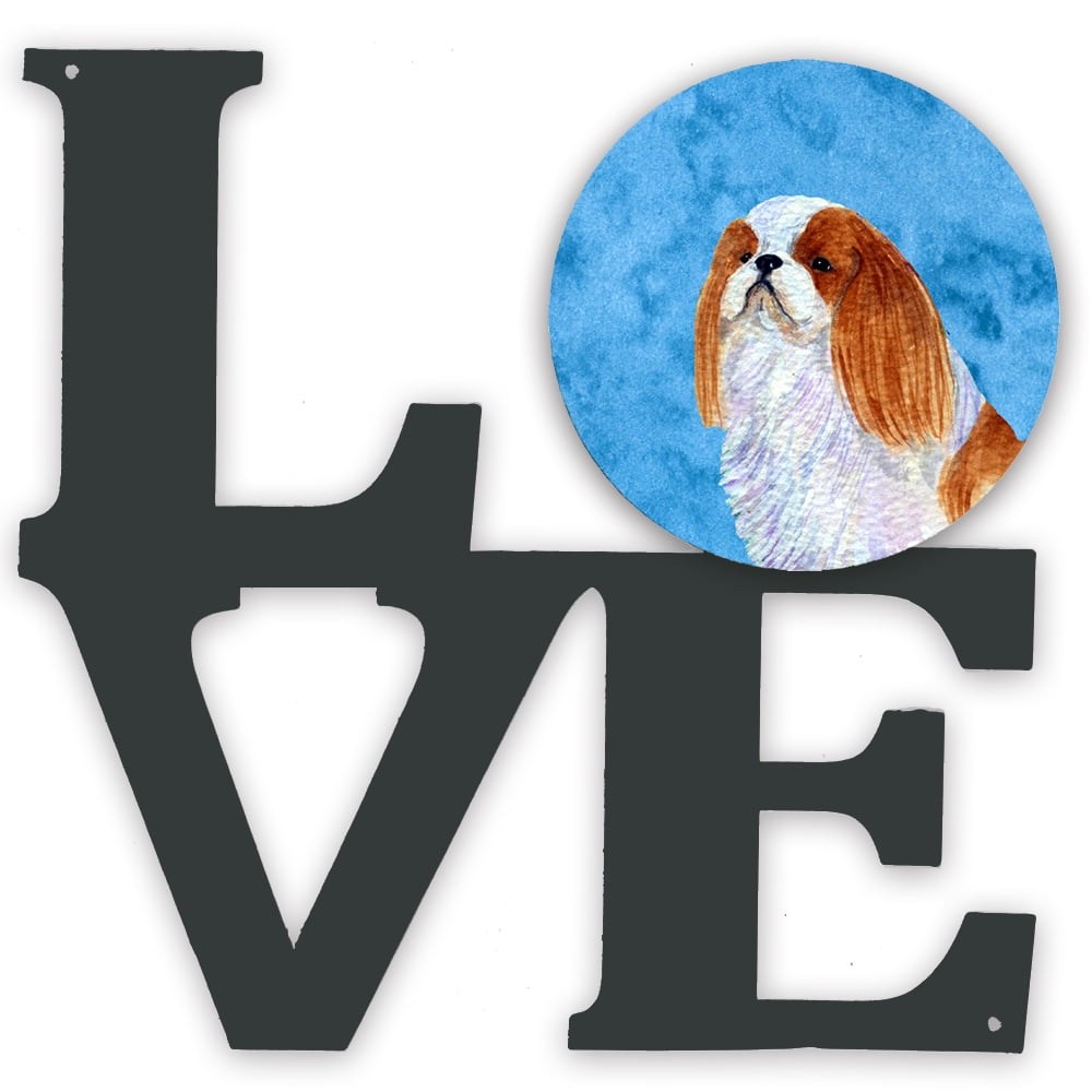 Faz tempo que não posto aqui. Aí vão umas fotos dos meus dois berneses  desse ano. : r/bernesemountaindogs, image size:1000x1000