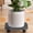 Gray, variant on QAZbgdl White Plastic Saucer with Wheels | 4 Swivel Caster Drainage Tray | 11.22 Inch Round Flower Pot Drip Pan | Indoor Outdoor Stand Base