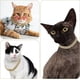 thumbnail image 3 of . Collar Para Mascotas Y Perros Con Cadena Cubana De, 3 of 4