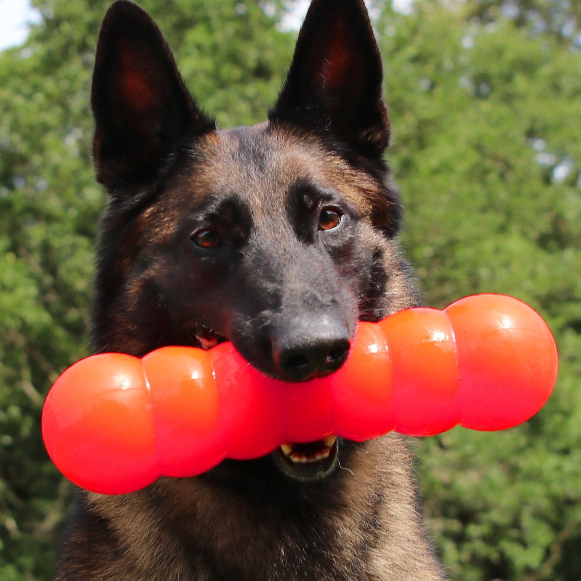 Ruff Dawg Dawg-Buster XL Indestructible Rubber Retrieving Dog Toy, Color Varies