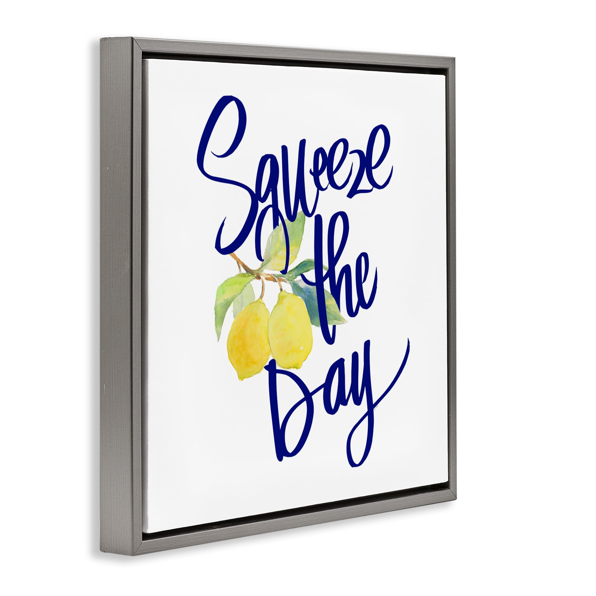 Stupell Industries Cursive Squeeze The Day Gray Framed Floater Canvas Wall Art, design by Lanie Loreth