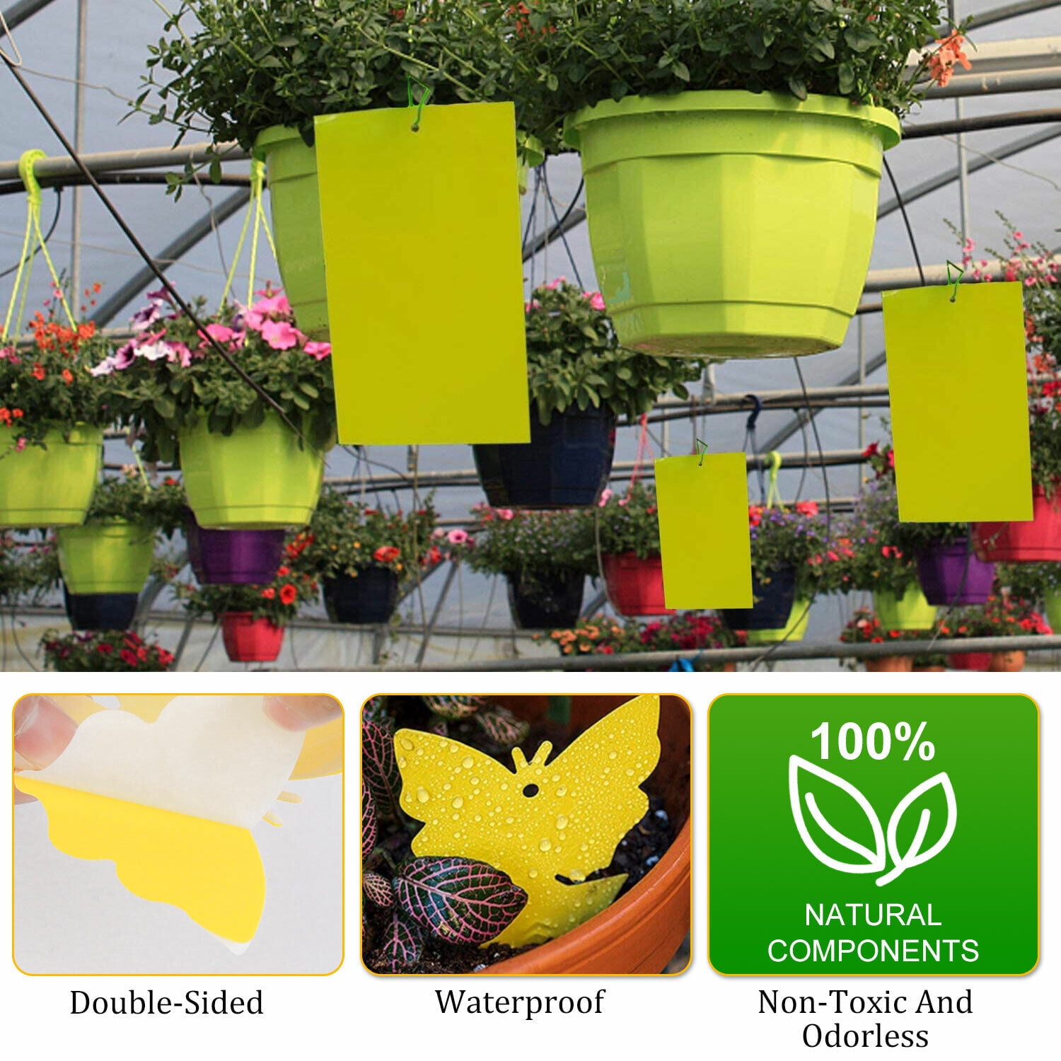Venoro 60 PCS Sticky Fly Traps Gnat Trap Flies Insect Glue Catcher w/ Hanging Ropes
