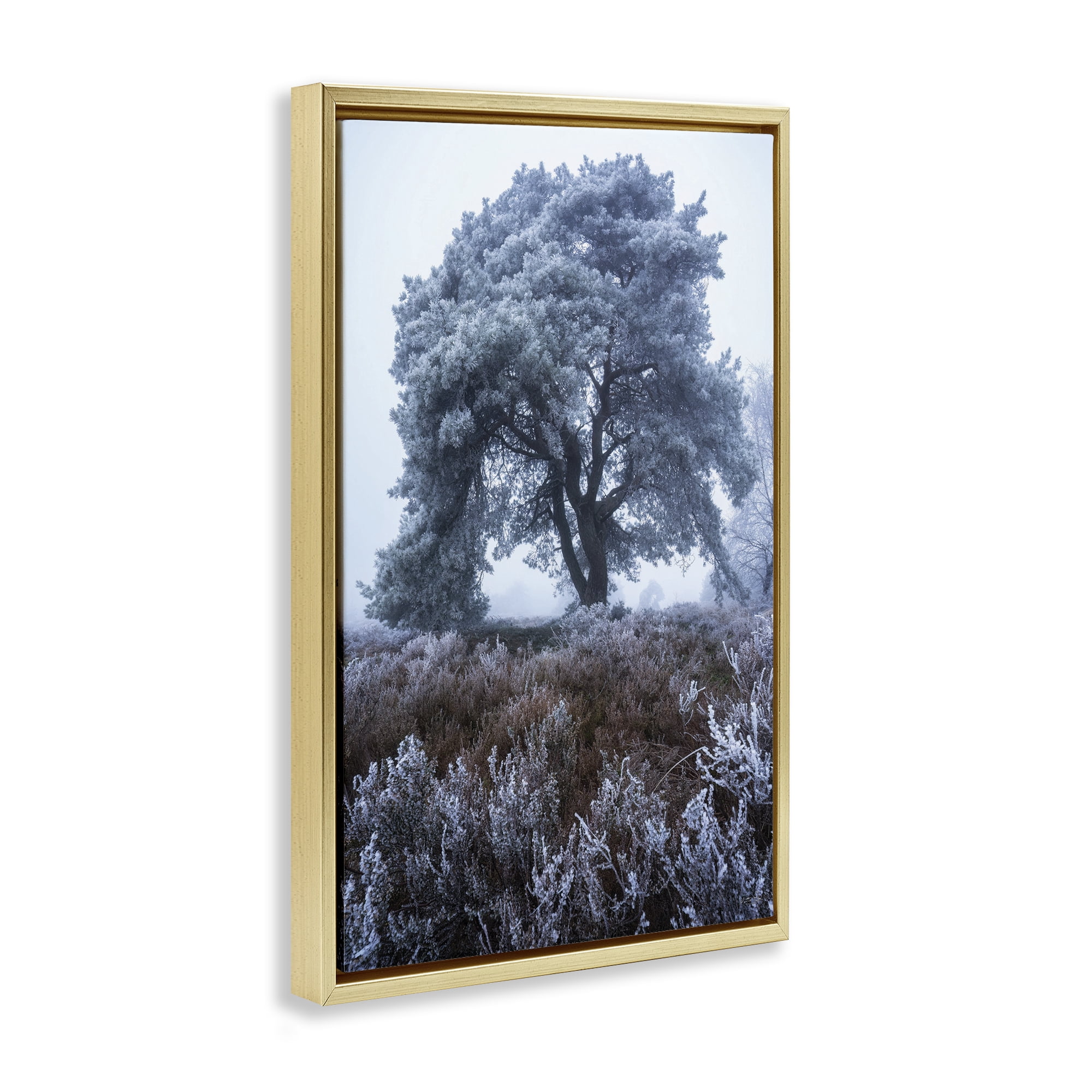 Stupell Industries Frosted Tree in Winter Mist Gold Framed Floater Canvas Wall Art, design by Martin Podt