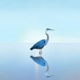 thumbnail image 3 of McLoughlin, James 12x12 Black Modern Framed Museum Art Print Titled - Beachscape Heron II, 3 of 5