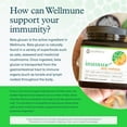 thumbnail image 2 of Youtheory Immune+ Daily Wellness with Vitamin C, D3 & Zinc Vegetarian Capsules, 60 ct, 2 of 7