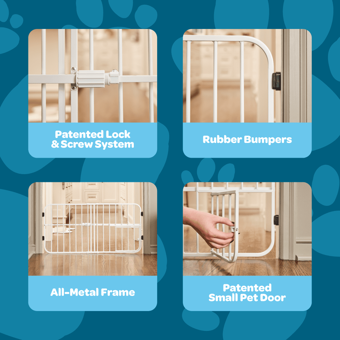 Carlson Pet Products Mini Tuffy Metal Pet Gate, 38" W x 18" H, Includes Small Pet Door, White