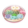 thumbnail image 3 of Phone Grip PopSockets, diseño de terrario Pokémon Bulbasaur, 3 of 7
