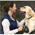 thumbnail image 5 of Correa FLEXI Bogdahn Neon Tape de 8 m para perros grandes de hasta 50 kg, 5 of 5