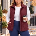 thumbnail image 4 of Plus Size Vest for Women Baeitkot Solid Color Zip Up Sleeveless Outerwear with Pockets Warm Casual Streetwear Wine XXL, 4 of 8