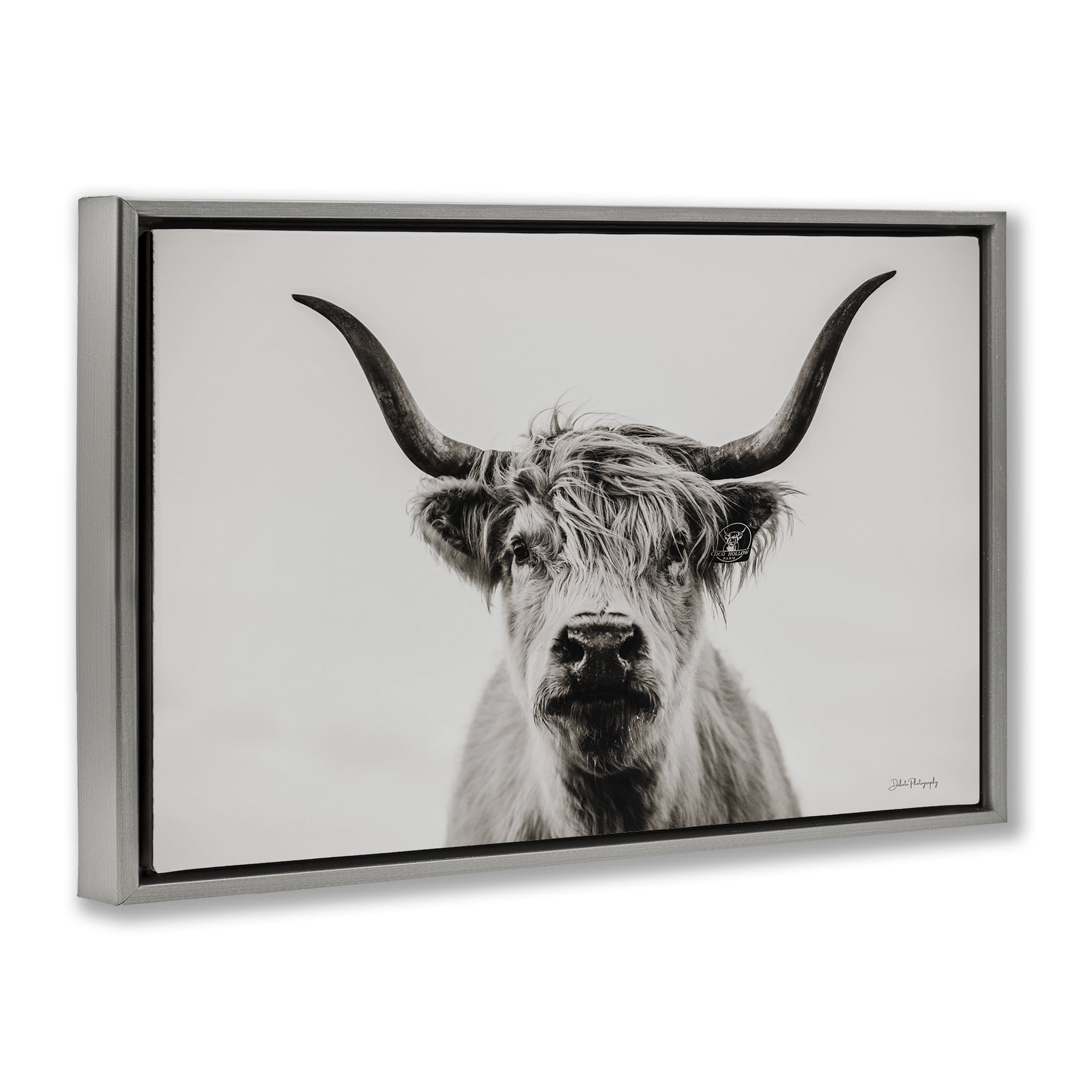 Stupell Industries Calm Cattle Portrait Animals & Insects Photography Gray Floater Framed Canvas Art Print Wall Art, 25 x 17