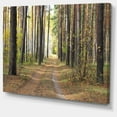 thumbnail image 2 of Pathway in Autumn Pine Forest - Modern Forest Canvas Art, 2 of 4